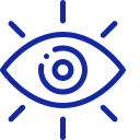 Vision icon